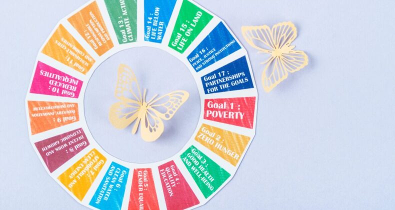 [RG24-3] SDGs を問い直す