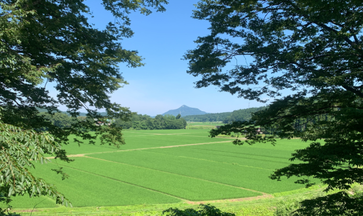 第24回春季大会（秋田）
